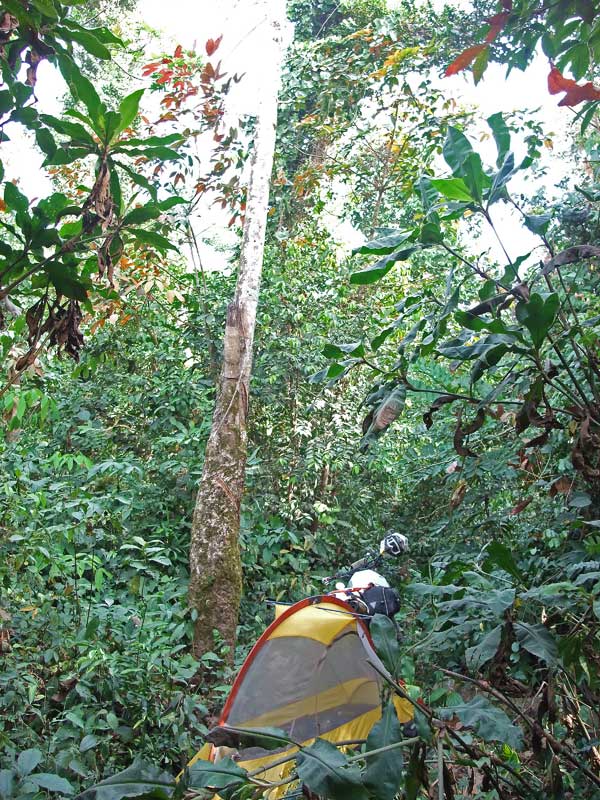 Nach dem vielen Trubel in den Doerfern mal wieder ein ruhiges Plaetzchen im Dschungel.jpg